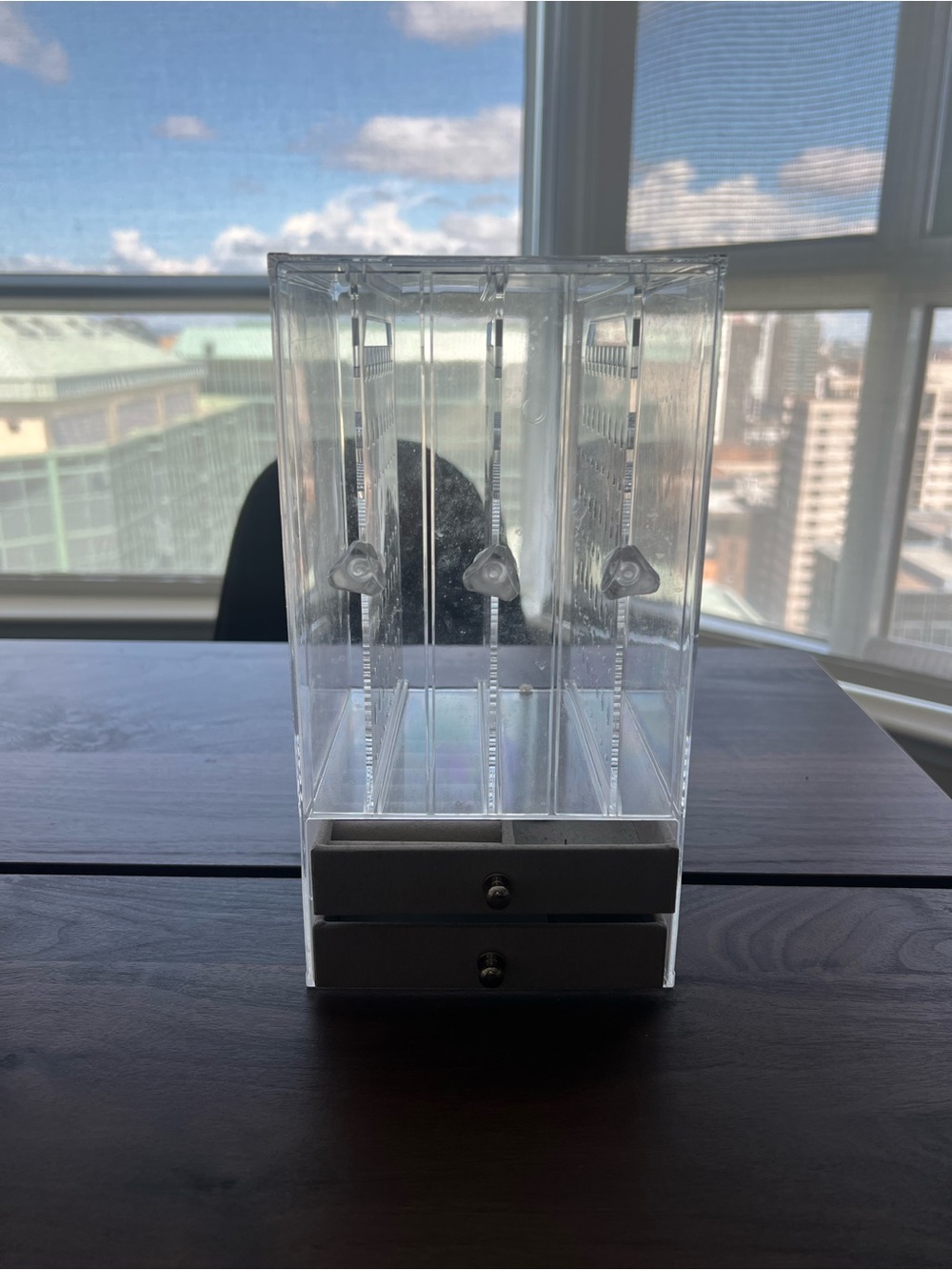 Clear Acrylic Jewelry Organizer